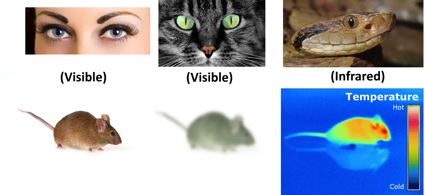 _images/Fig5_SAT.png
